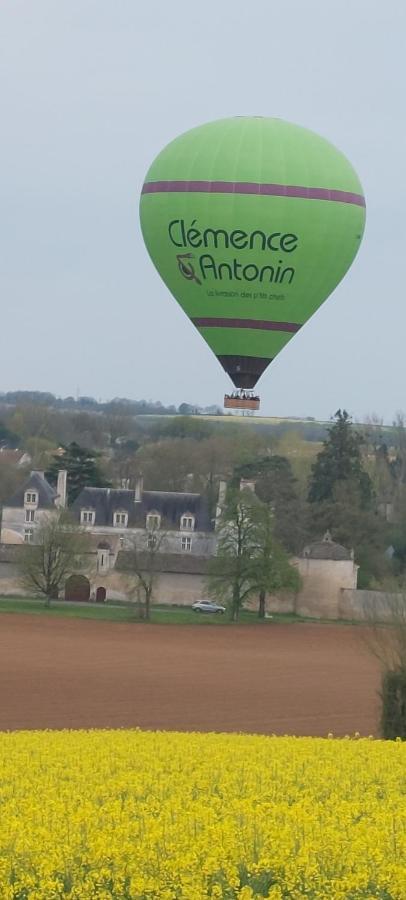 Au Grain D'Orge Villa Echire Luaran gambar